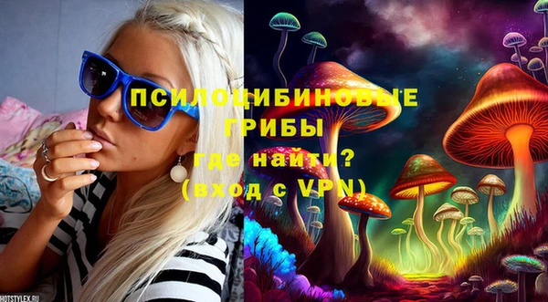 прущие грибы Бородино