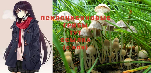jwh Бугульма