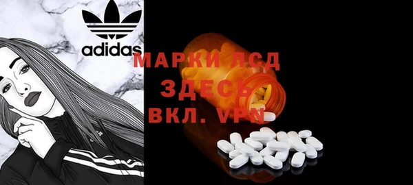 прущие грибы Бородино