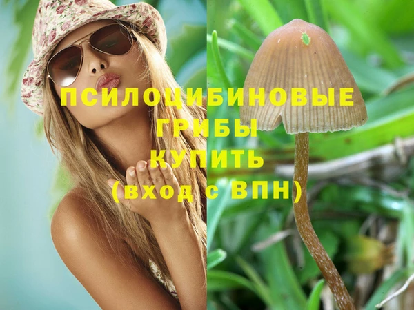 прущие грибы Бородино