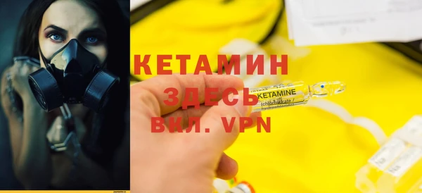 прущие грибы Бородино