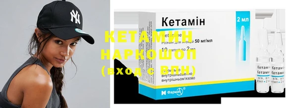 прущие грибы Бородино