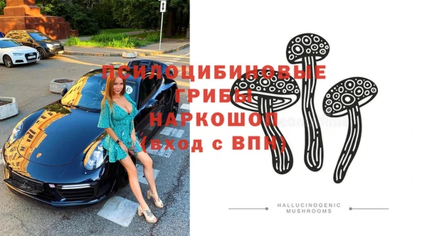 прущие грибы Бородино