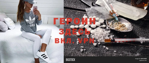 прущие грибы Бородино