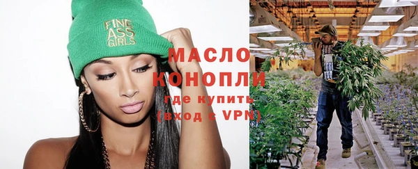 прущие грибы Бородино