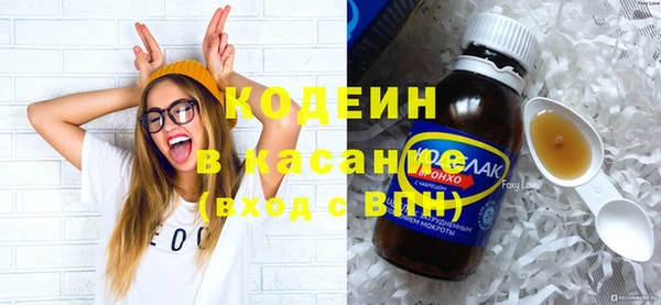 прущие грибы Бородино