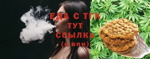 прущие грибы Бородино
