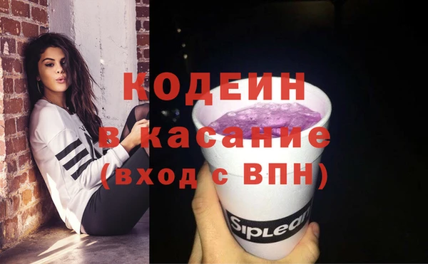 прущие грибы Бородино