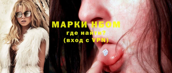 прущие грибы Бородино