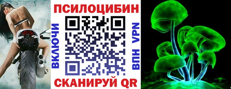 hydra ссылки  Шахунья  Галлюциногенные грибы мицелий 